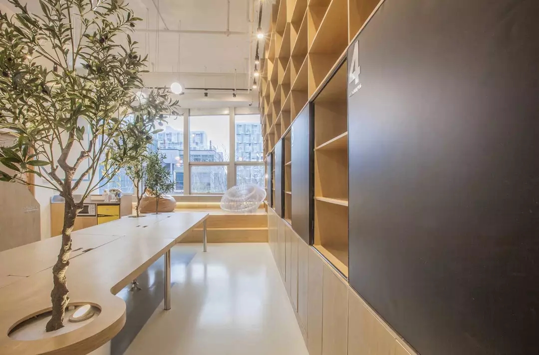 牛在墻上飛，猴子樹梢醉；這是在動(dòng)物園辦公嗎？